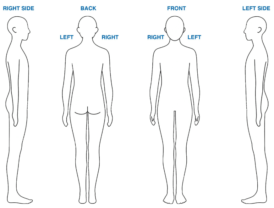 body chart