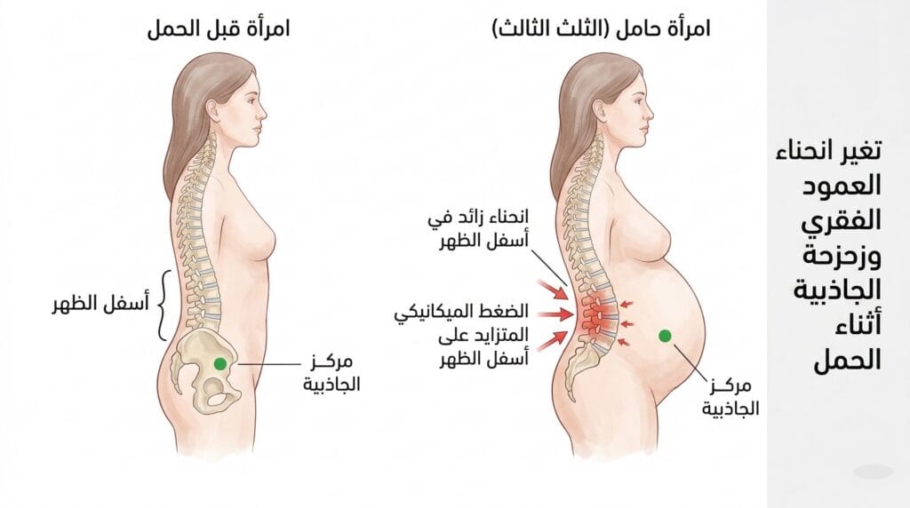 علاج ألم الظهر للحامل: كيف تتخلصين من عرق النسا وضغط الحوض بأمان؟ pregnancy lower back pain